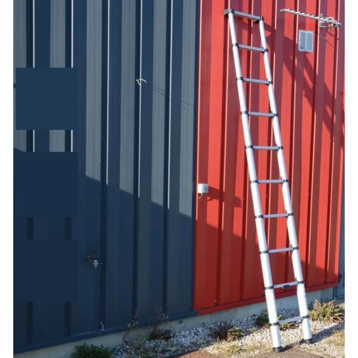 Echelle télescopique pliable 10 échelons 2,9m/3,75m en aluminium Selekta