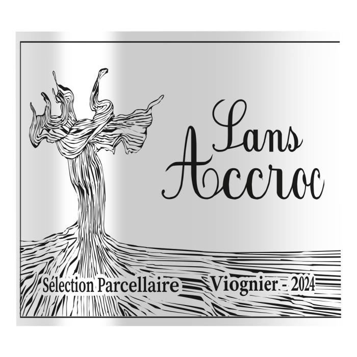Vino Blanco Viognier Valle del Ródano Sans Accroc 2024 x6