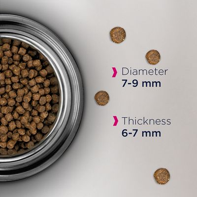 Eukanuba Contrôle des boules de poils Adulte