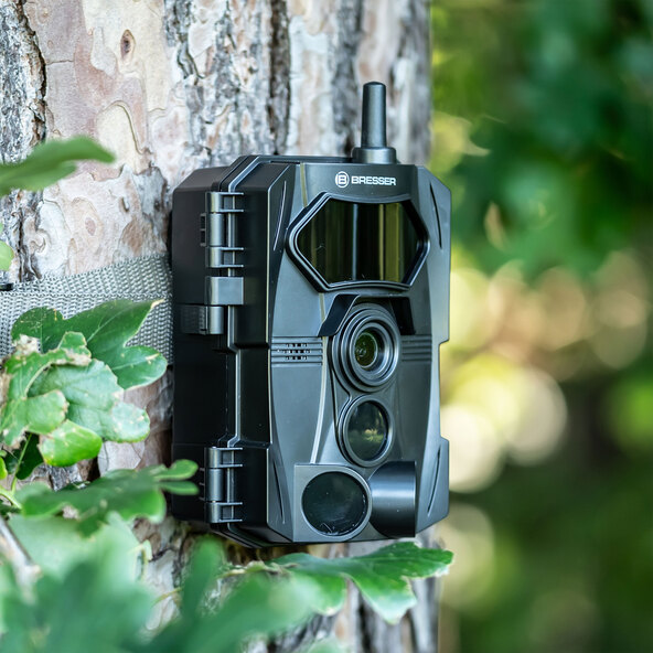 100° WiFi-wildcamera, 24 MP