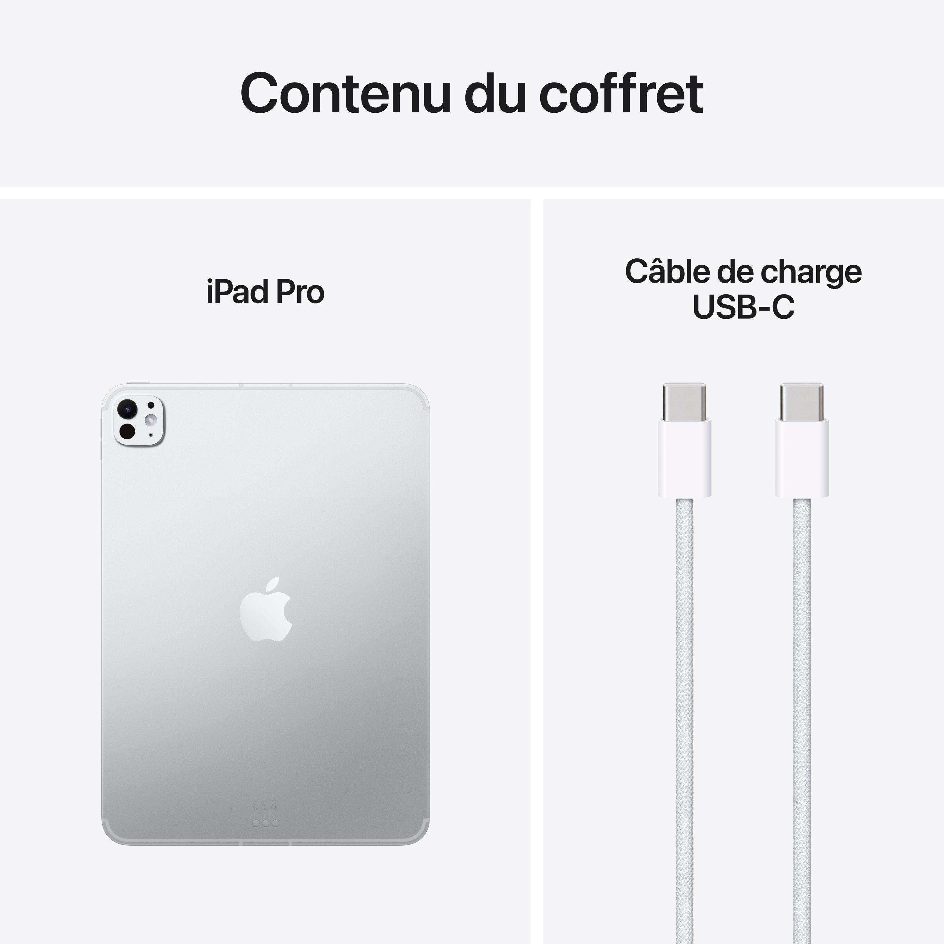 APPLE - iPad Pro M5 - 11