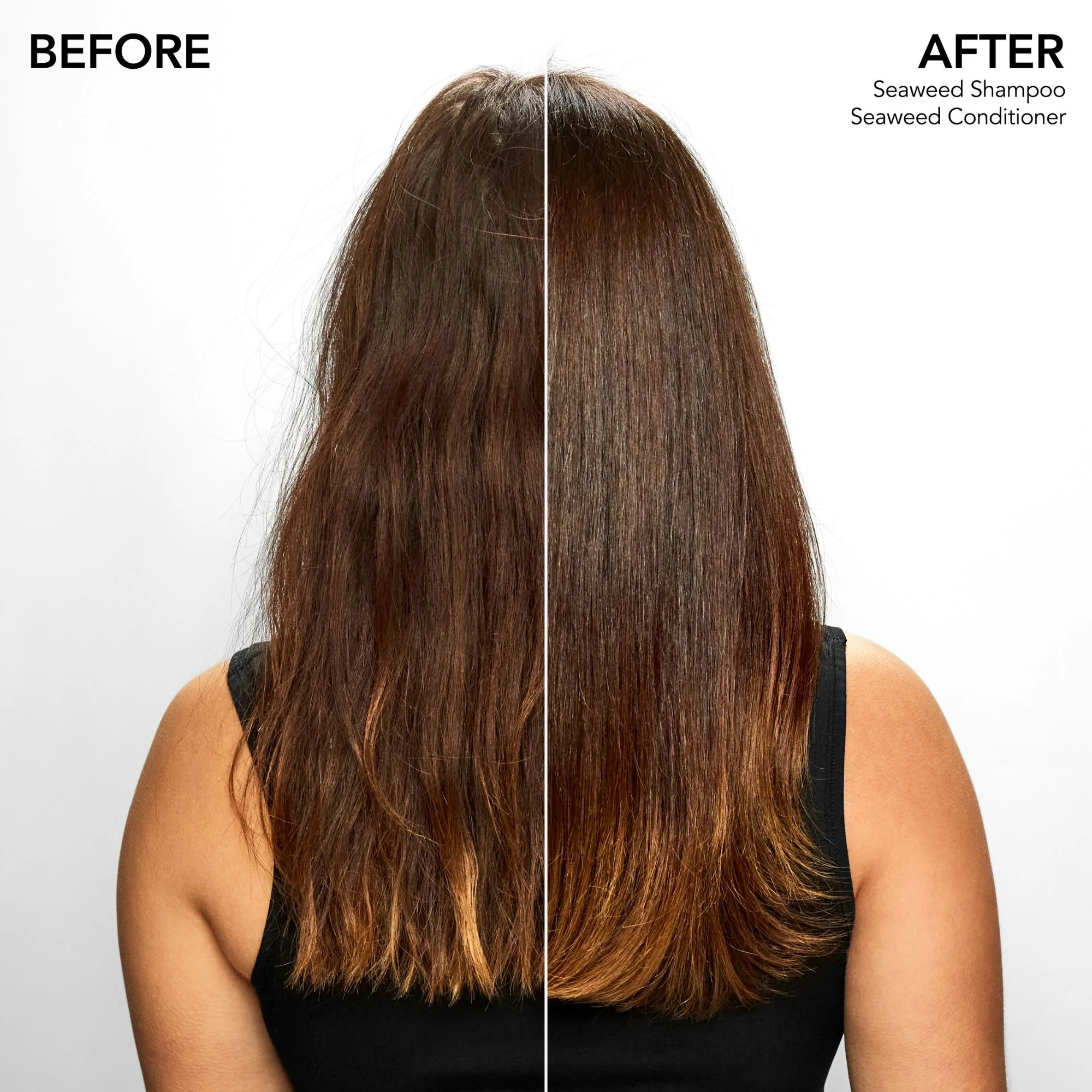 Seaweed Shampoo - Shampoo Delicato, Shampoo Uso Frequente
