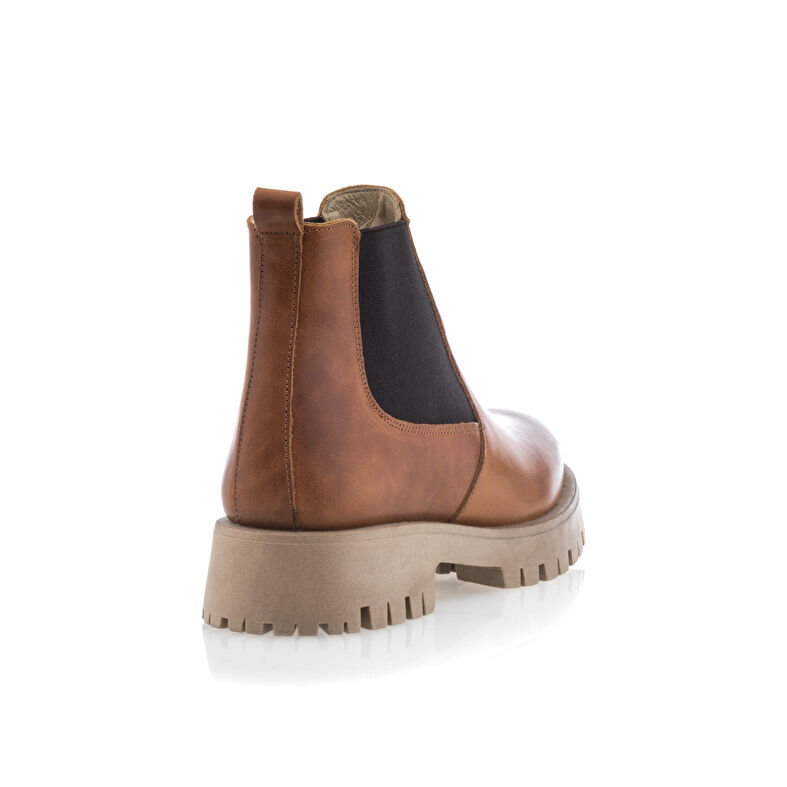 Boots / bottines Femme Marron