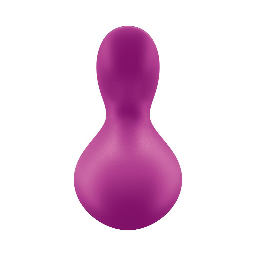 Satisfyer Viva la Vulva 3