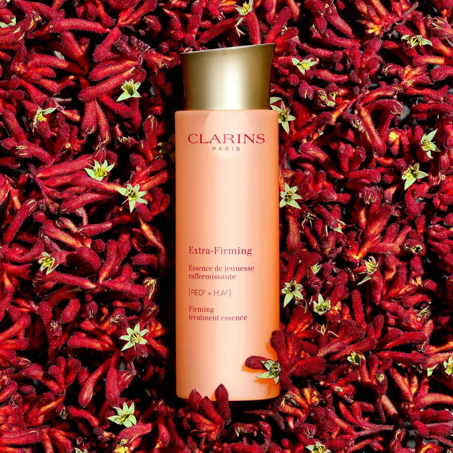 Extra-Firming Essence de Jeunesse Raffermissante - Fluido viso antirughe, Tonico viso