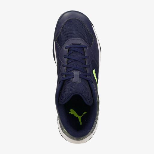 Puma Solar