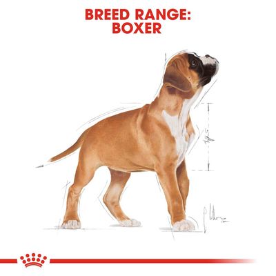 Royal Canin Boxer Welpe