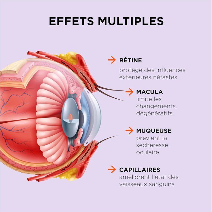 ZeaForce – Flüssige Formel für perfekt gesunde Augen für vollständige Absorption und schnelle Wirkung 1 Kapsel pro Tag - 90 Kapseln