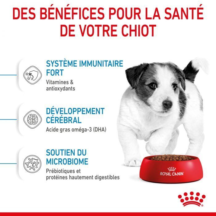 Croquettes - Royal Canin - Mini Junior - 2KG - Chiot - Petit chien - Croissance saine