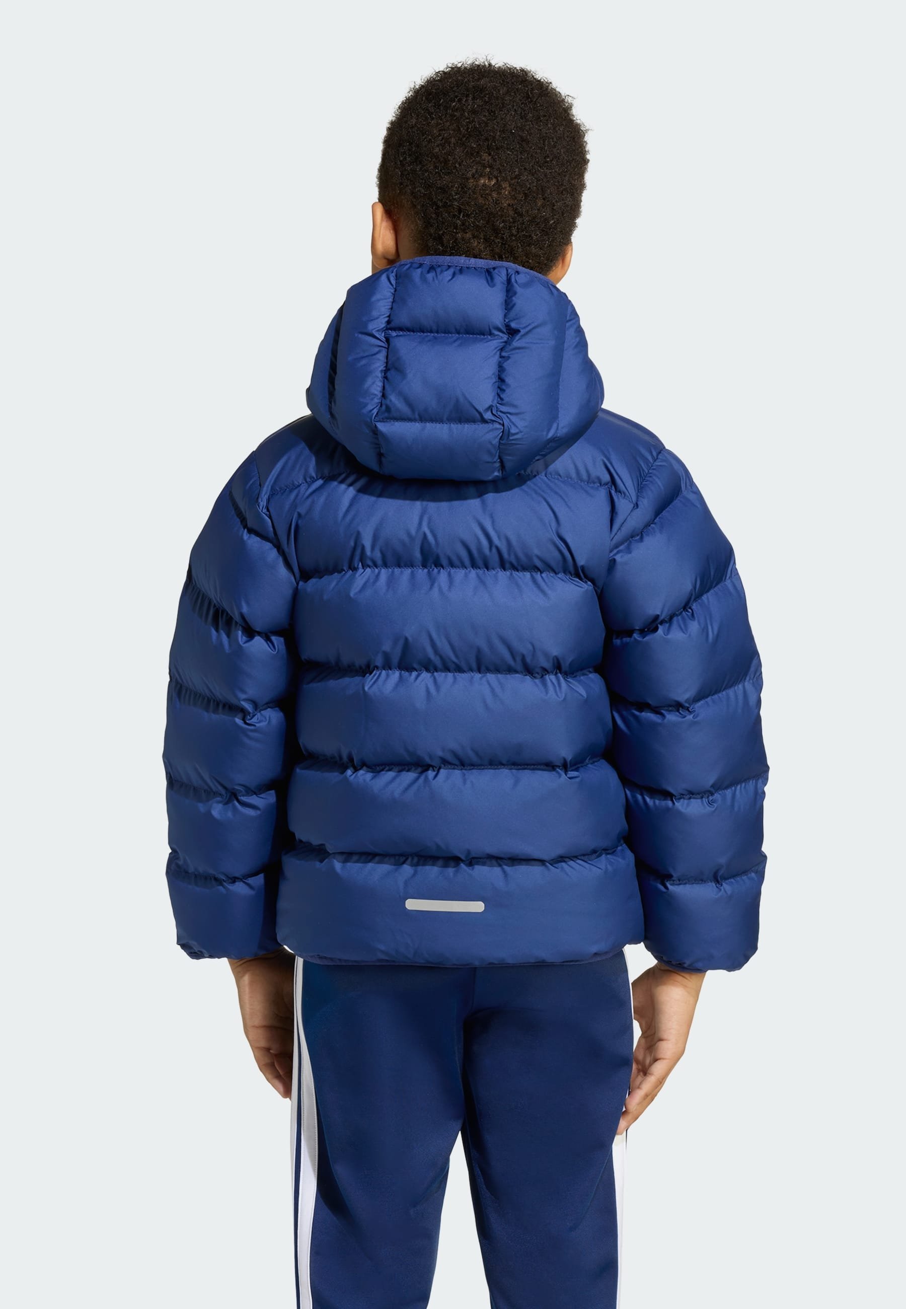 adidas Performance winterjas - donkerblauw, team koningsblauw, gloeiend blauw