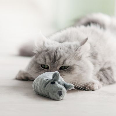 Aumüller Kattelegetøj Mus Valeri
