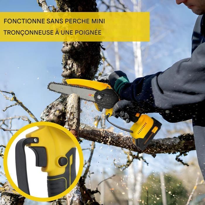 Tronçonneuse sur perche 21V lithium 2 outils en 1 scie et elagueur livree avec 2 batteries et chargeur rapide