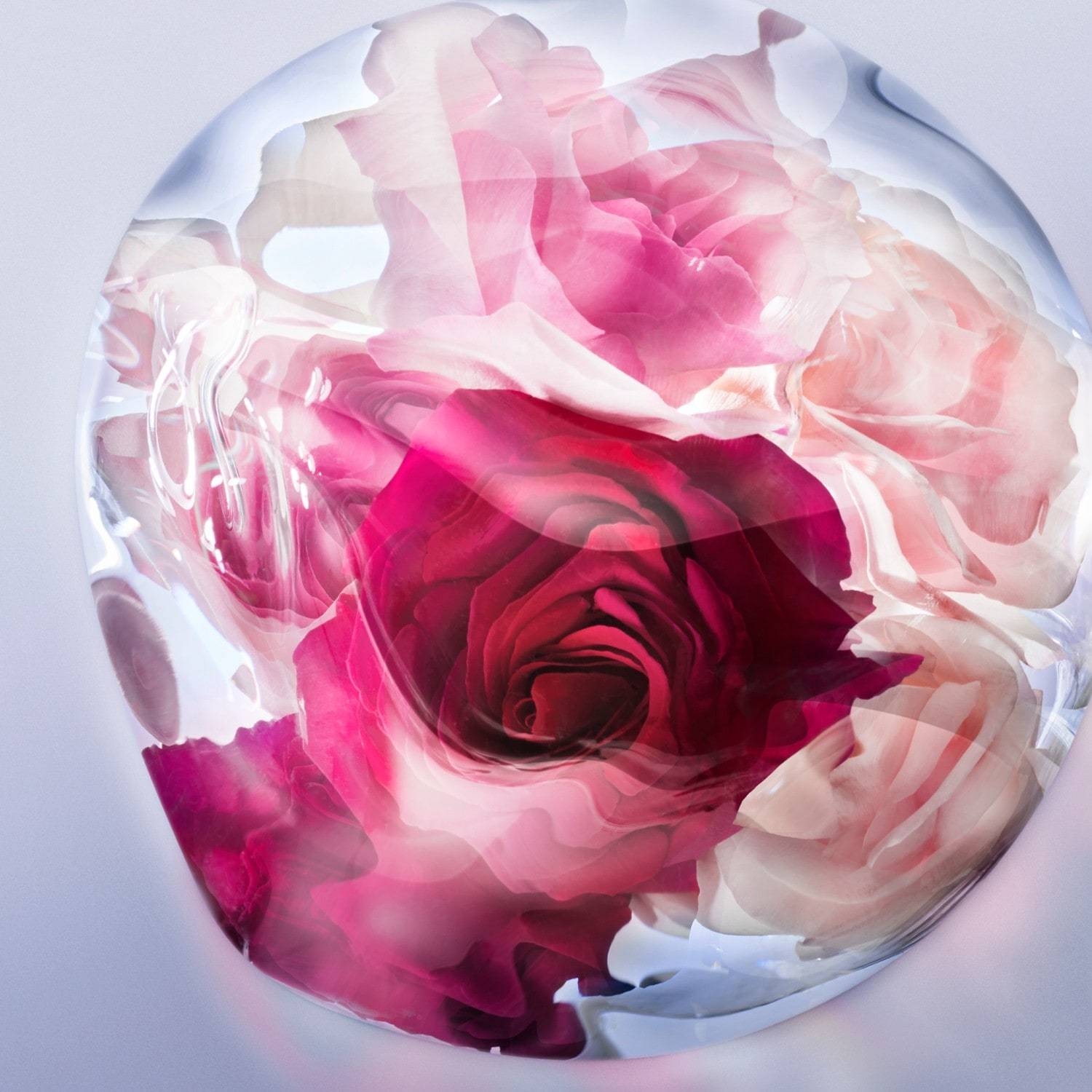Lancôme parfemska voda La vie est belle Rose Extraordinaire - 30 ml