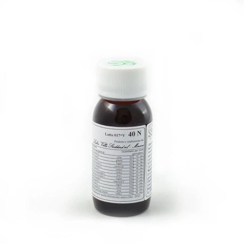 LVS Lvs 40N Bellis Perennis Comp