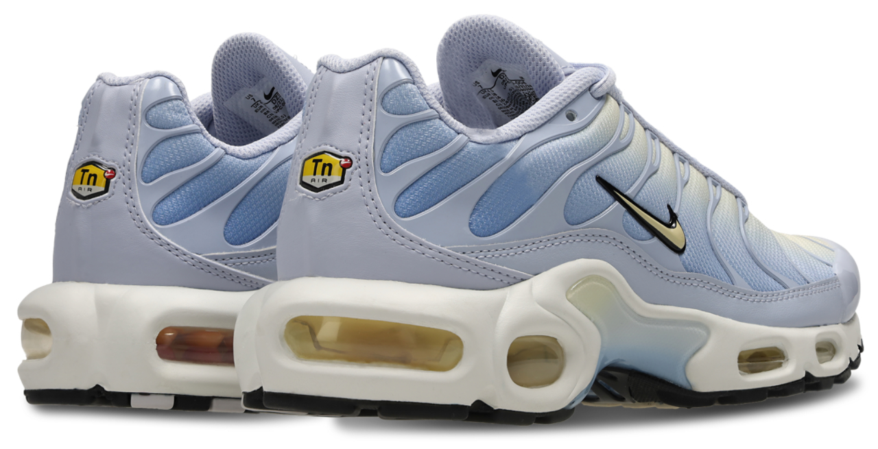 Nike Air Max Plus Body Fade