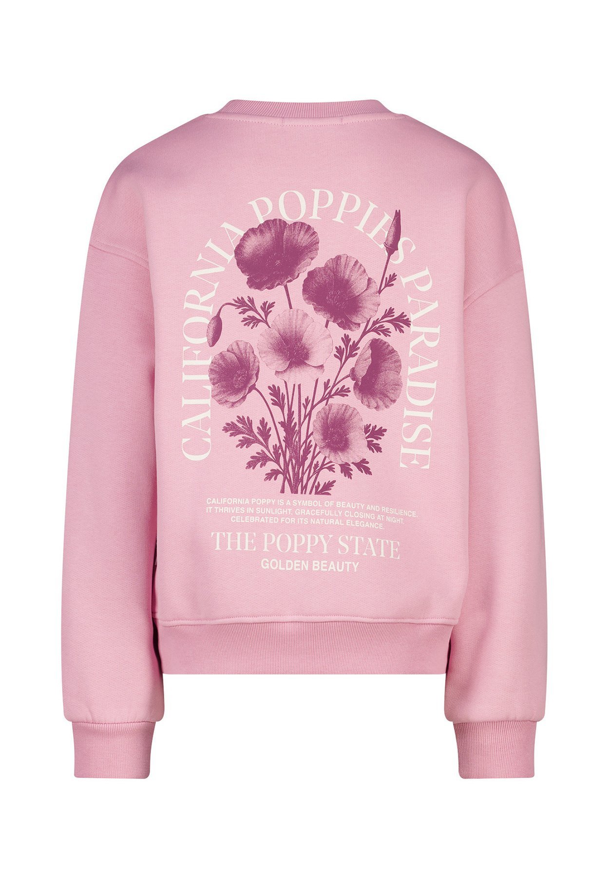 Sweat-shirt America Today - rose pâle