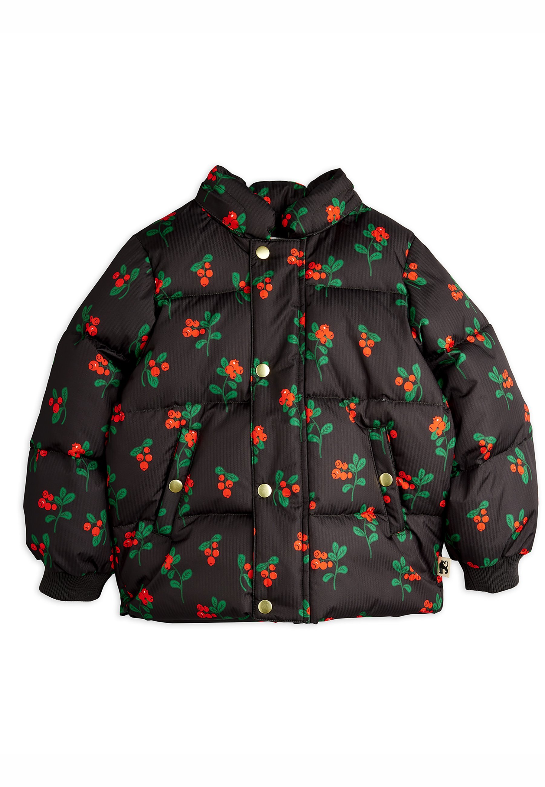 Mini Rodini LINGORBERSIES HOODED UNISEX - Winterjas - zwart