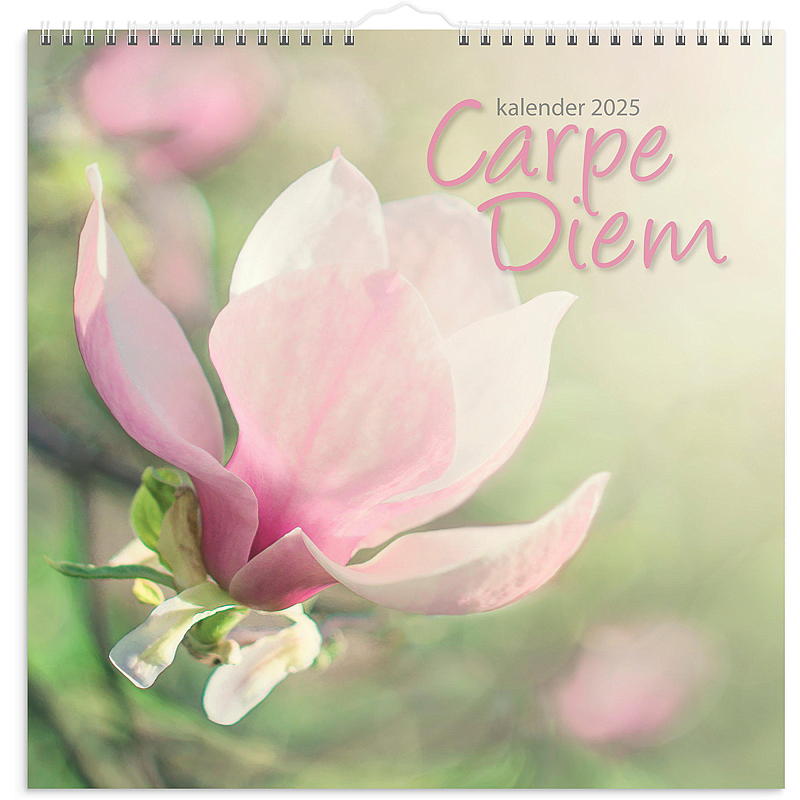 Väggkalender Carpe Diem 2025