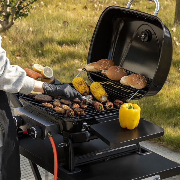 Royal Gourmet draagbare gasbarbecue met afneembare wagen - 2 branders, 5 kW vermogen, kookoppervlak 48 x 37 cm