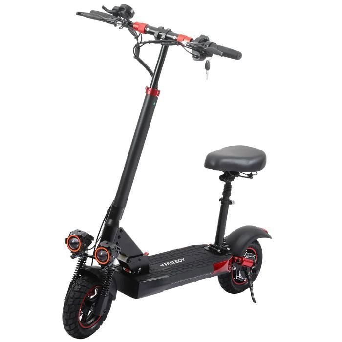 Patinete eléctrico Freeboy J01 para adultos, motor de 800 W, batería de 48 V y 15 Ah, autonomía de 40-45 km, velocidad de 45 km/h, neumáticos todoterreno de 10