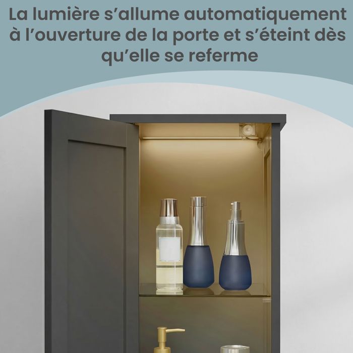Bathroom Column, Adjustable Shelves, Modern Tall Cabinet for Small Spaces, Lighting, Black