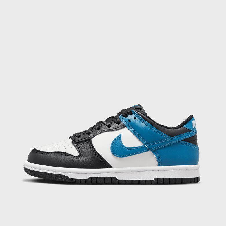 Dunk Low Big (GS)