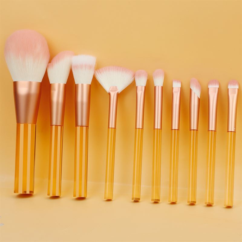 Technique Pro set kistova, prozirni set kistova za savršenu šminku – 1 komad