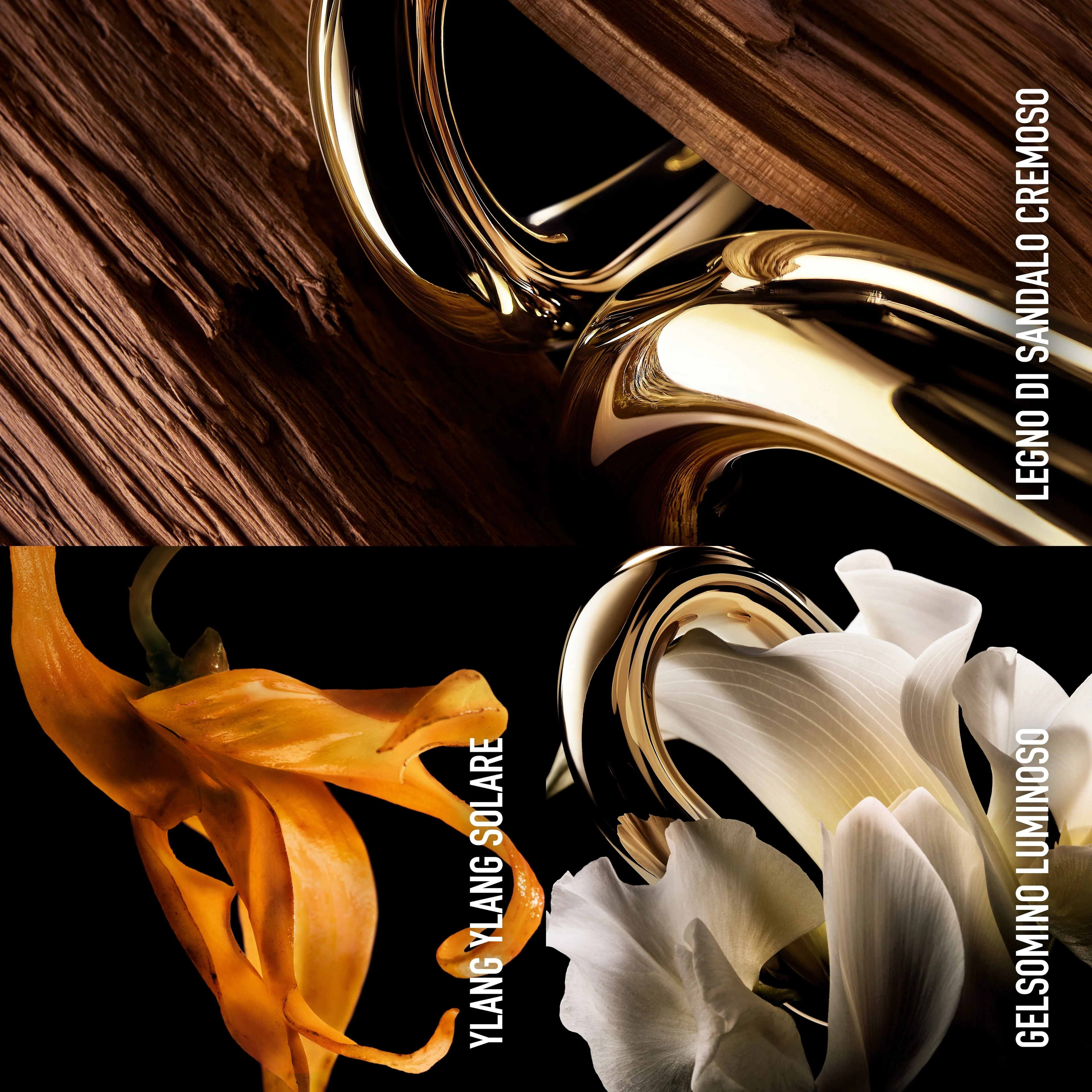 Million Gold For Her Parfum - Parfum