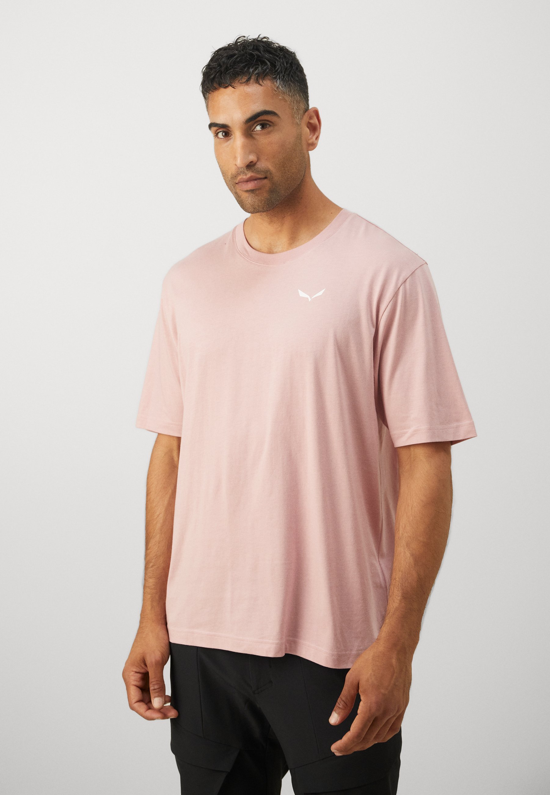 Salewa EAGLE GLACIER - T-shirt met print - zephyr