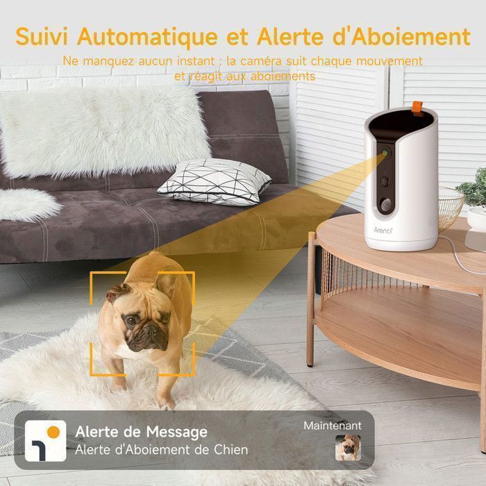 Telecamera di sorveglianza ARENTI con distributore automatico di cibo per gatti, fotocamera da 3 MP per gatti/cani, audio bidirezionale, rilevamento del movimento