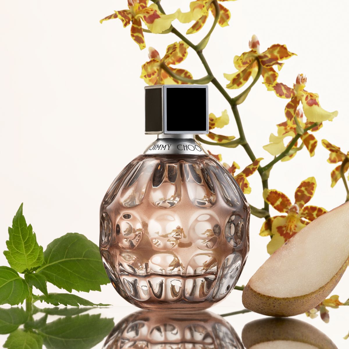 Parfumska voda Jimmy Choo 40 ml za ženske