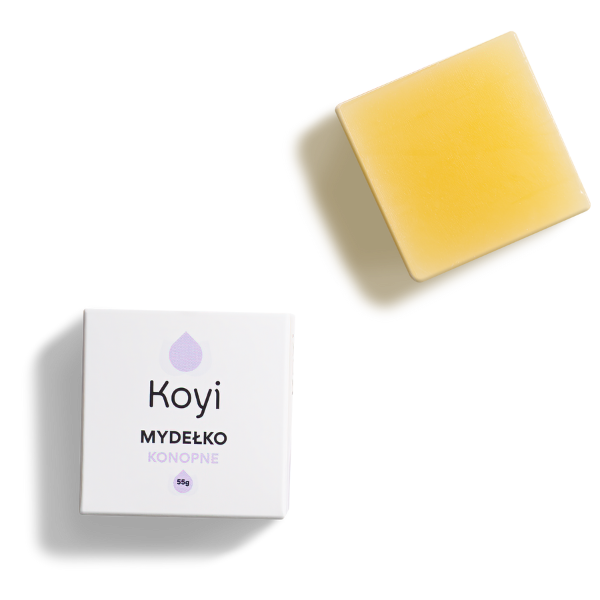 Koyi
