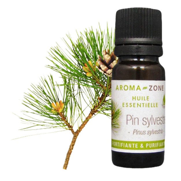 Essentiële olie van Schotse den 10 ml