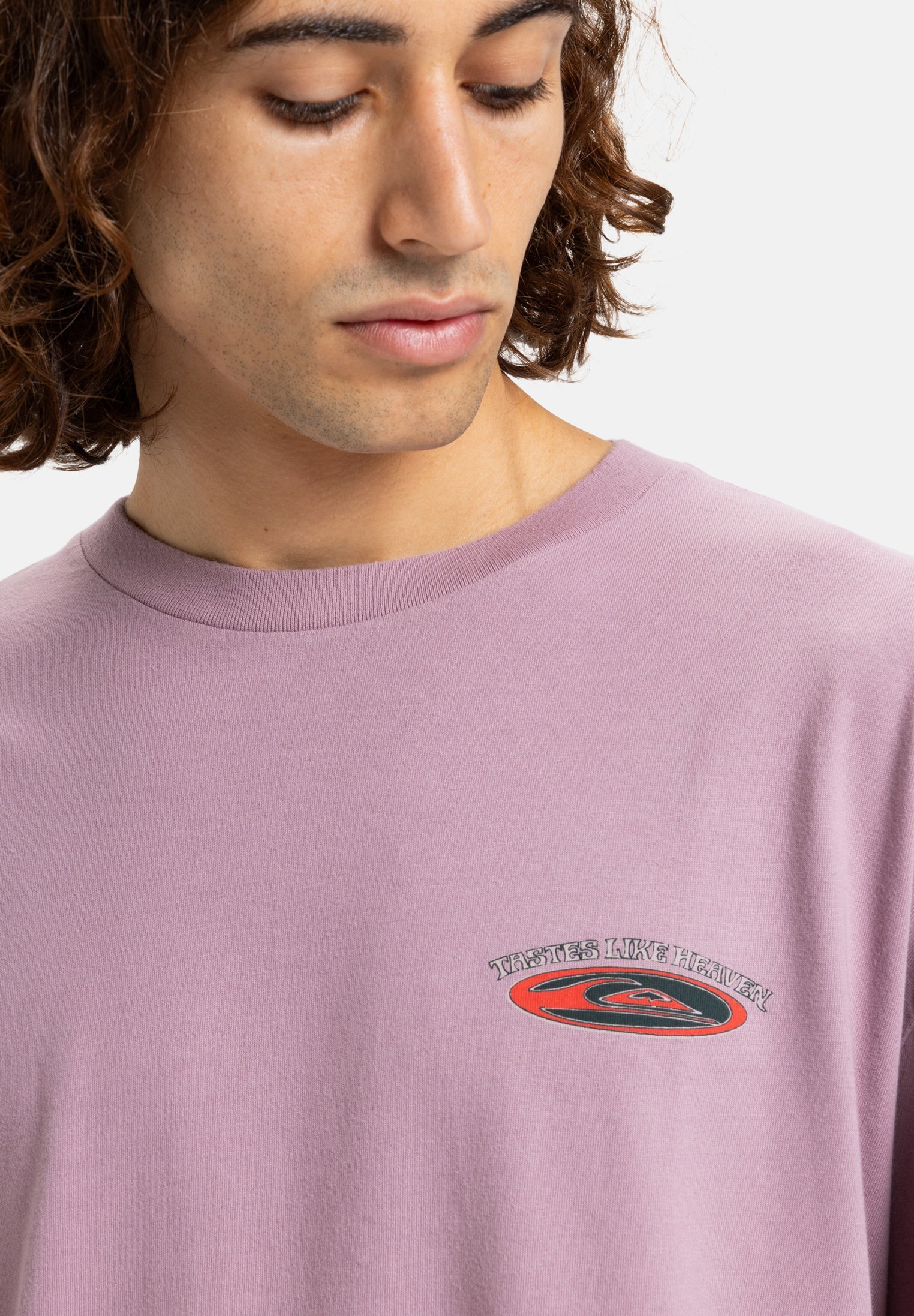 Quiksilver HOLLOW COVES - Top met lange mouwen - vlierbes