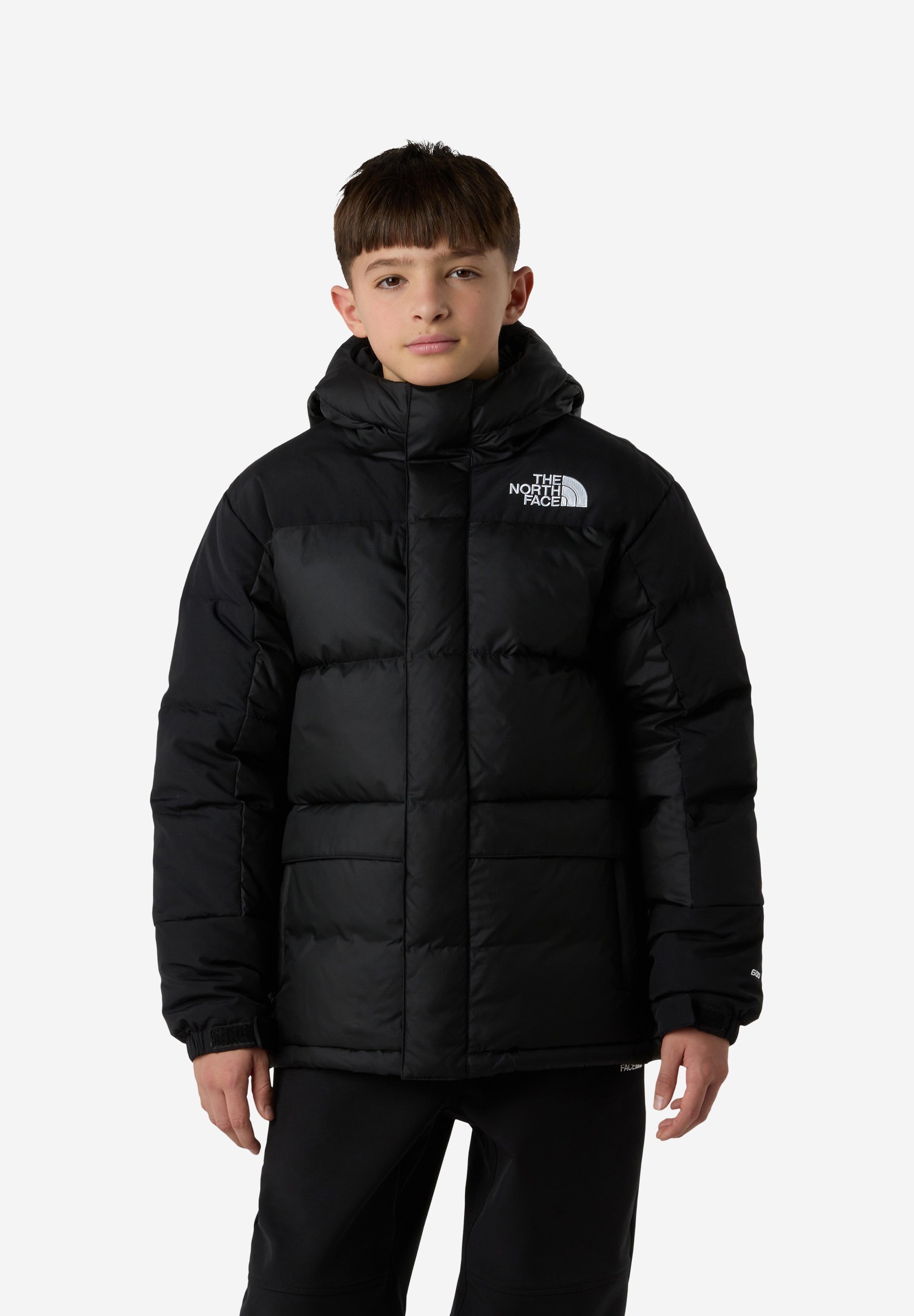 The North Face HMLYN - Dunjakke - tnf black tnf black