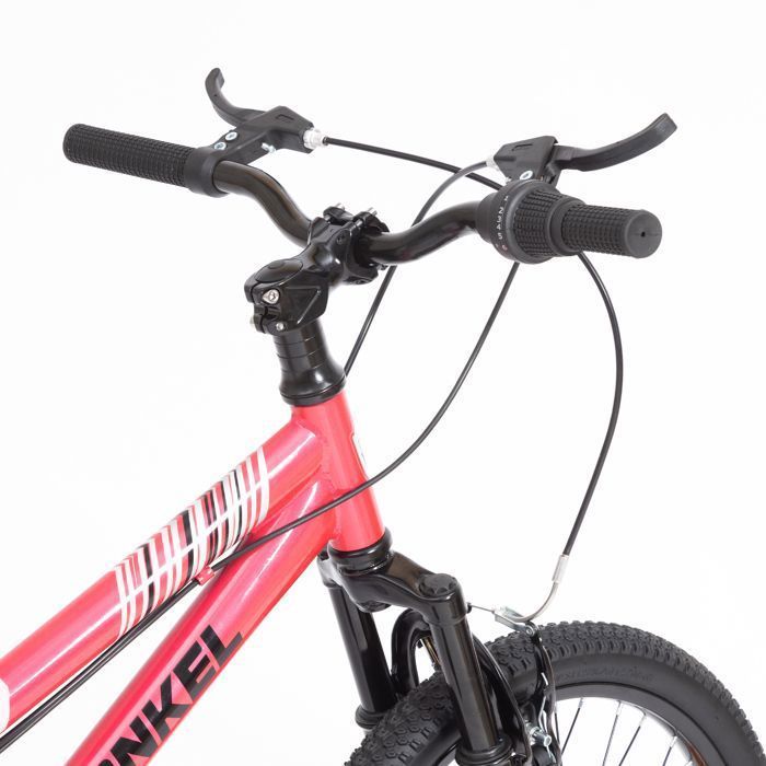 Leawin 20-Inch Children's Bike, Pink – Mountain Bike for Boys and Girls Ages 6 to 10 – Single Speed – V-Brakes – Steel Frame – Junior Bike