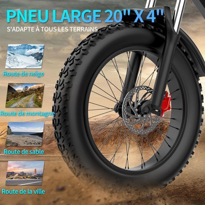 Bicicletta elettrica - Pneumatici da 20