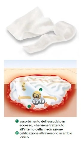 LOHMANN & RAUSCHER LR Suprasorb Pansement à l'alginate de calcium 10x10 cm 10 pièces