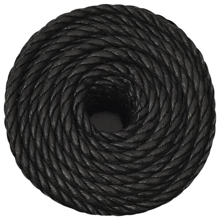 153012 VidaXL Cuerda de trabajo negra 10 mm 50 m Polipropileno
