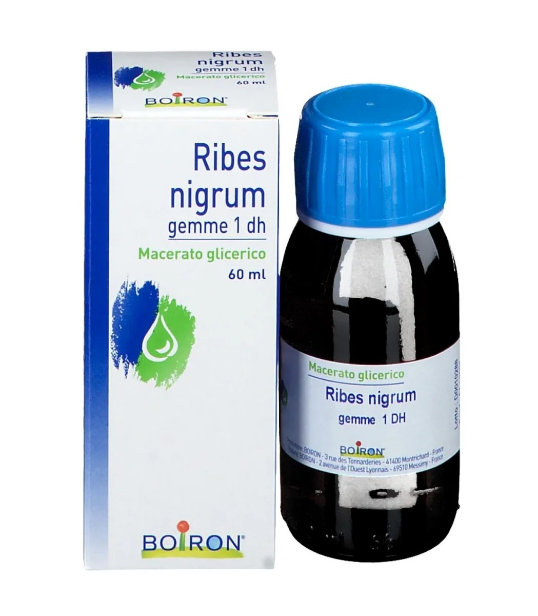 BOIRON Boiron Ribes Nigrum Gemme 60 ml mg Glycerolmaceraat