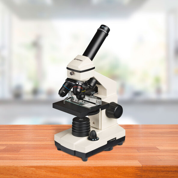 Microscoop Biolux NV