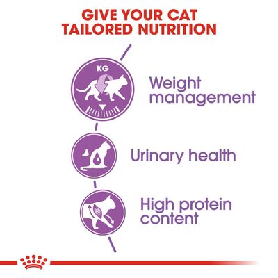 Royal Canin sterilizzato 37 gatti