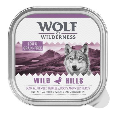 Wolf of Wilderness Erwachsenen-Sparpackung 24 x 300 g