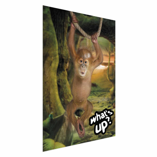 Plakat What's Up 21x30 cm