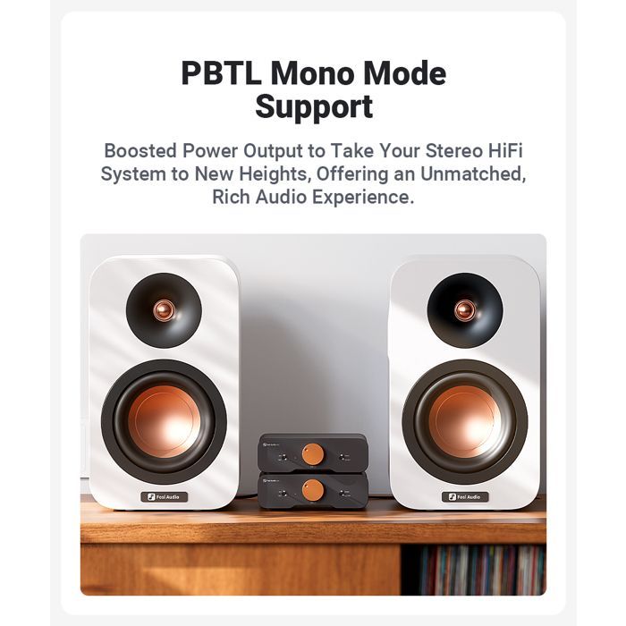 Amplificador de potencia estéreo HiFi - RNCYN - Clase D - Entrada XLR/RCA - 2 canales (2.0)