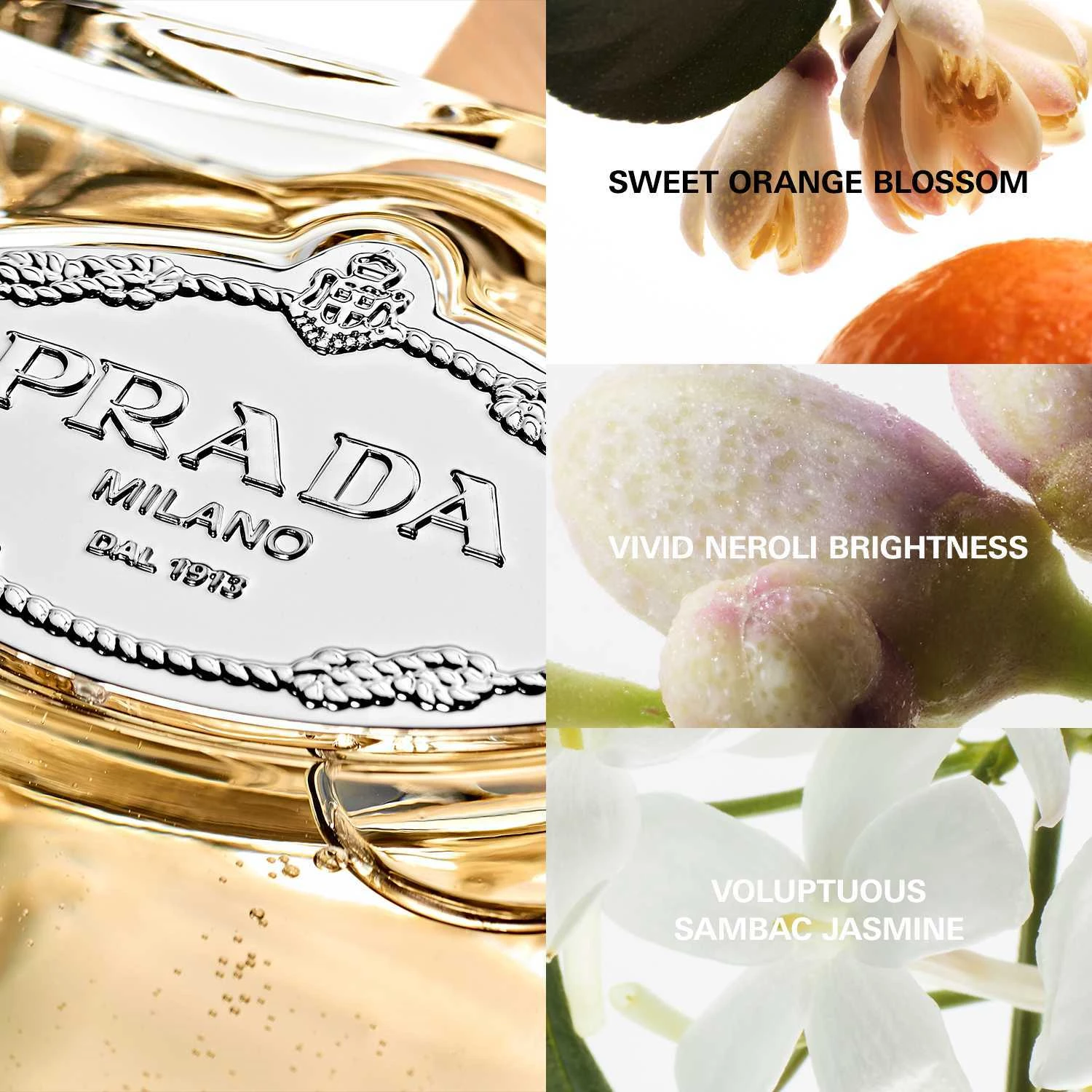 Infúziós De Fleur D'Oranger EdP 100 ml - Prada
