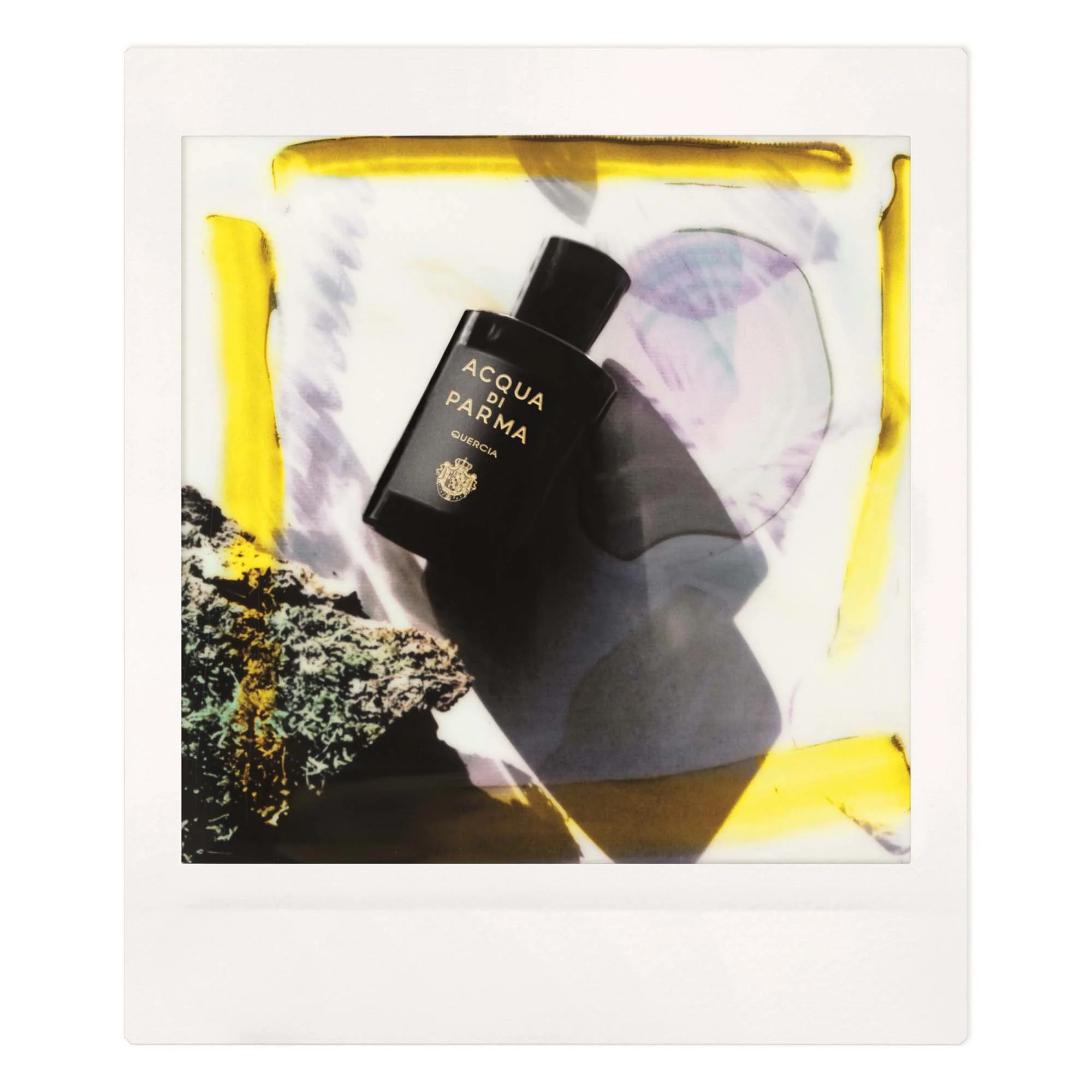 Signatures of the Sun Quercia - Eau de Parfum Unisex, Eau de Parfum