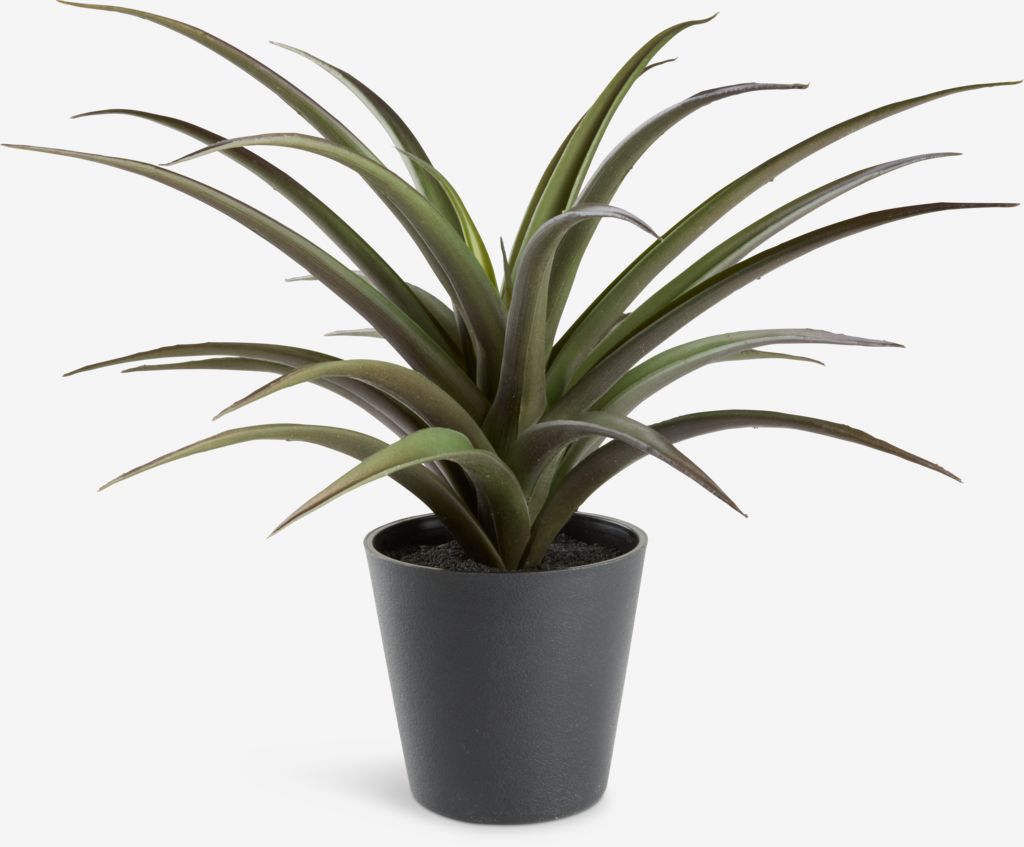 FREIDIG Umjetna biljka FREIDIG Ø36xH32cm s loncem