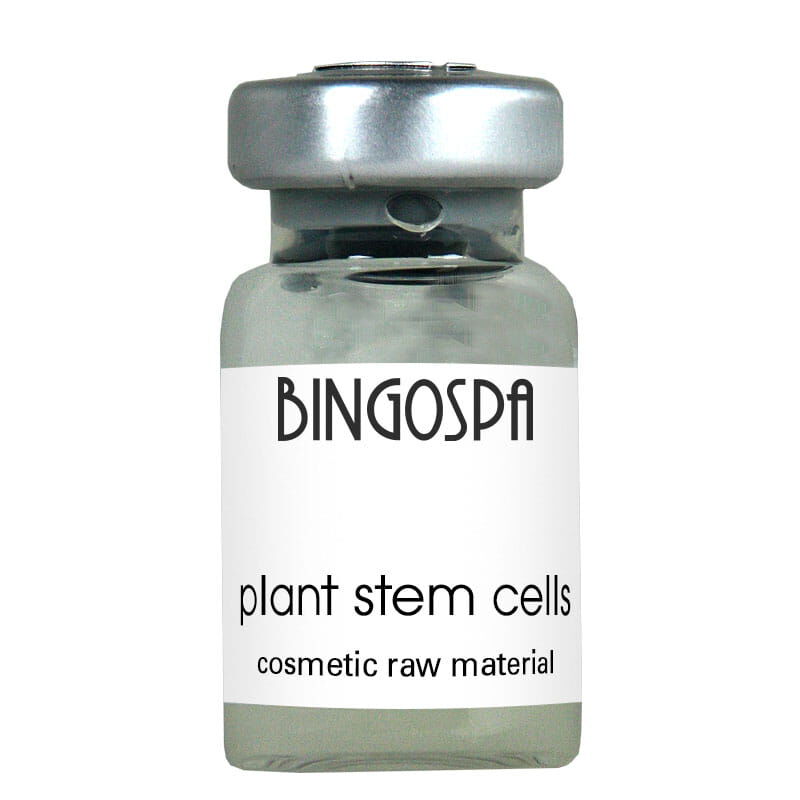 Bingospa