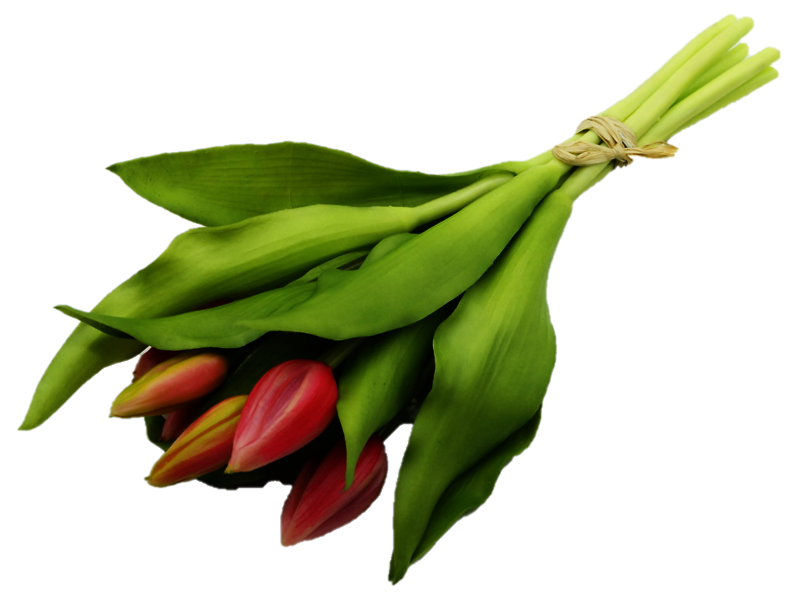 Sztuczny bukiet Tulipanów 7 szt. 33 cm różowych